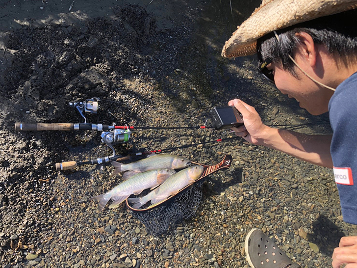 琵琶湖 夏の風物詩 ハスフィッシングのすすめ 琵琶湖のハス釣りが熱い