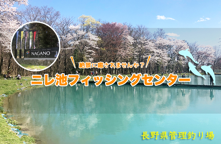 長野県の管理釣り場 白馬八方ニレ池フィッシングセンター ご紹介 特徴は 絶景の中で数釣りを楽しめる