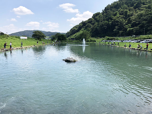 神奈川県の管理釣り場 フィッシングフィールド中津川 のご紹介 特徴は夏でも釣れる管理釣り場 釣りパラダイス