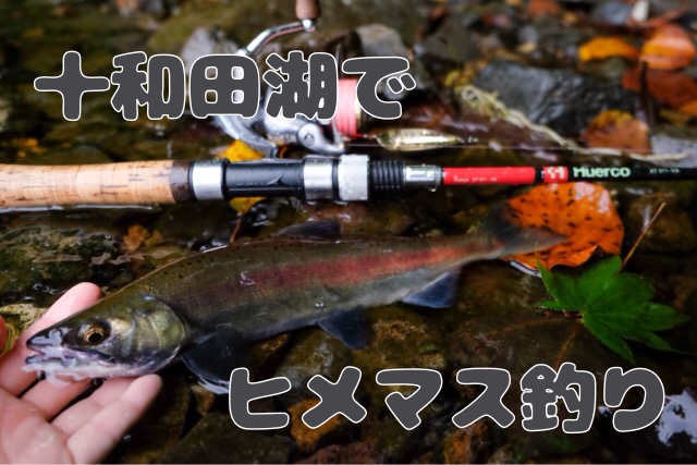十和田湖で秋のヒメマス釣りをご紹介 釣りしながら湖畔キャンプを楽しもう